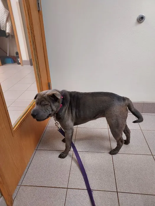 Whitehall Veterinary Services Inc Picture 3