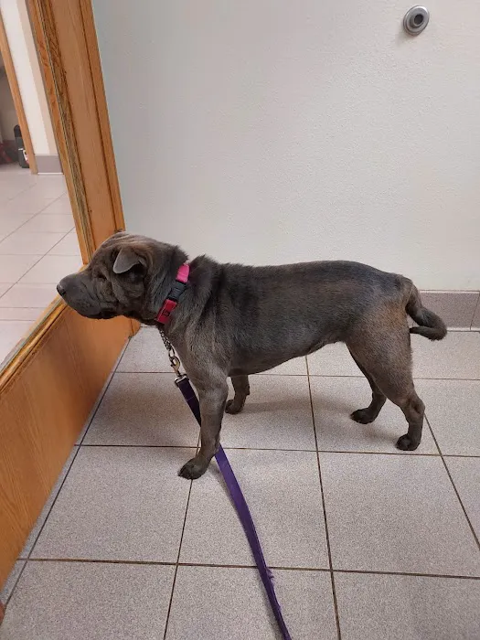 Whitehall Veterinary Services Inc Picture 9