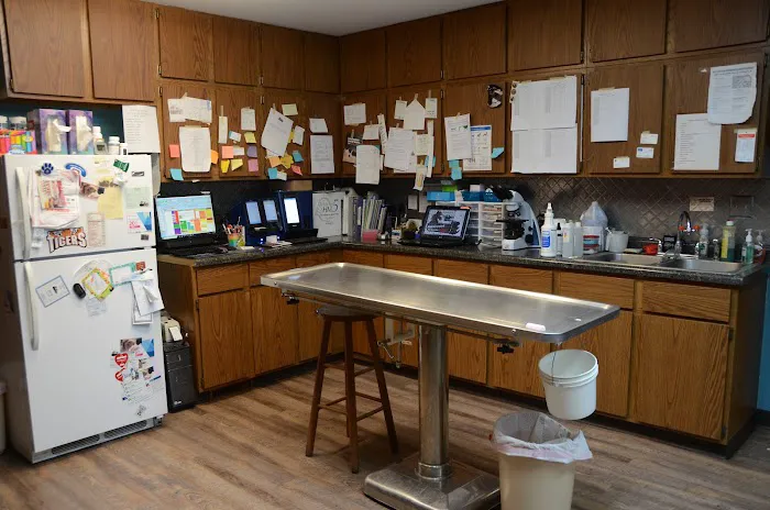 Northwood Vet Service, LLC. Picture 1