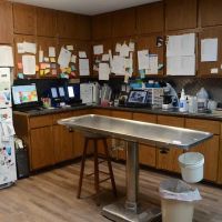 Northwood Vet Service, LLC. ico