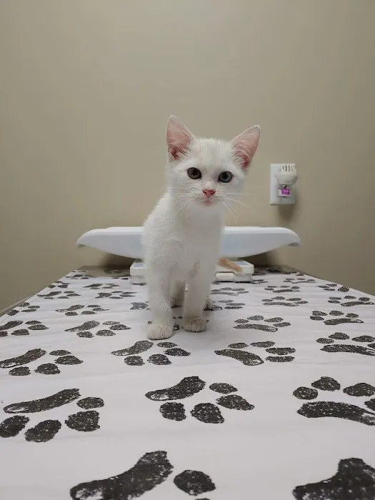 Northwood Vet Service, LLC. Picture 9