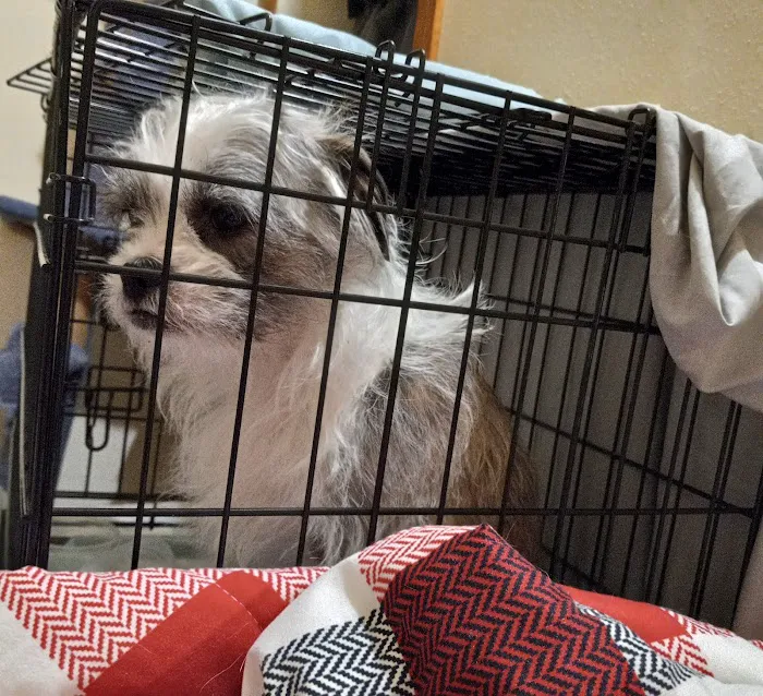 Country Pet Clinic Picture 8