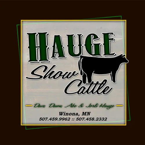 Hauge Show Cattle Picture 2