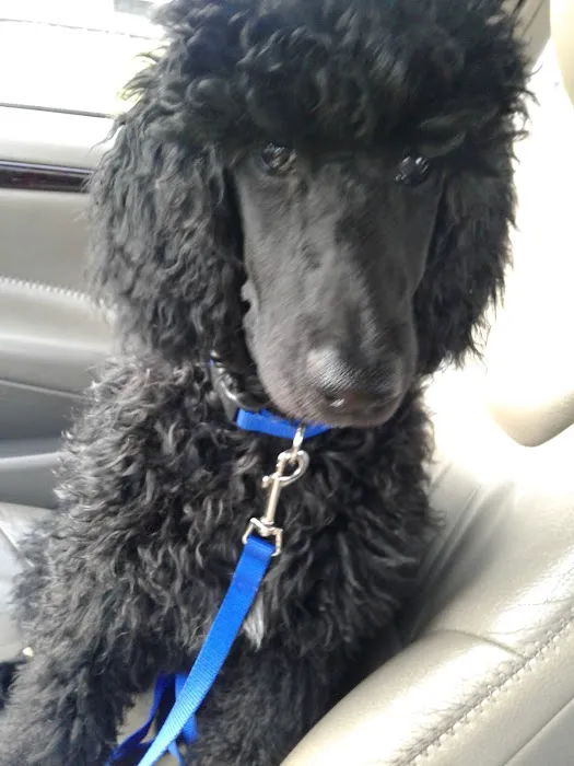 Stewartville Animal Clinic Picture 4