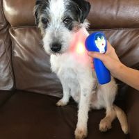 All Pets Health and Rehab, LLC ico