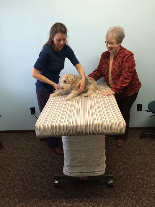 All Pets Health and Rehab, LLC Picture 4