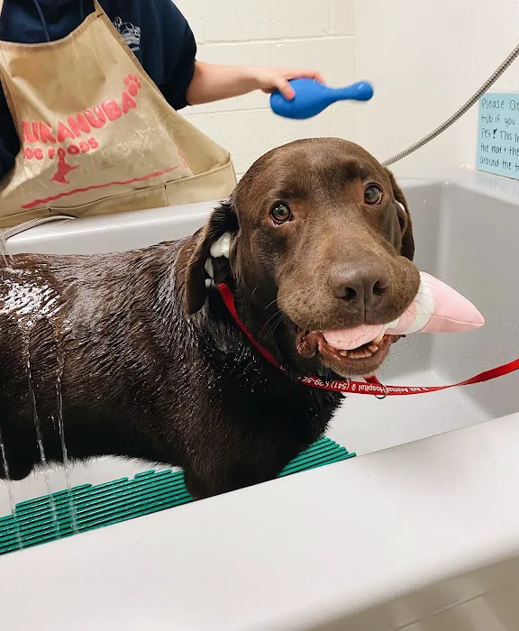 Ark Animal Hospital Picture 2
