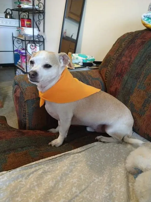 Ark Animal Hospital Picture 6