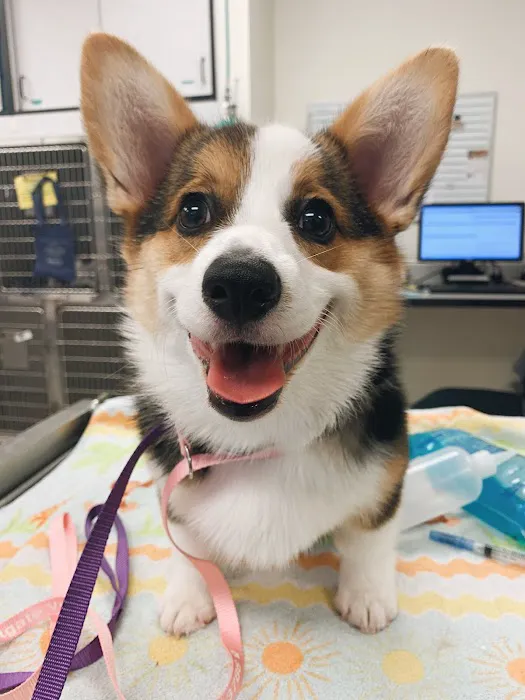 Ark Animal Hospital Picture 10