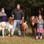 Rogers Veterinary Service