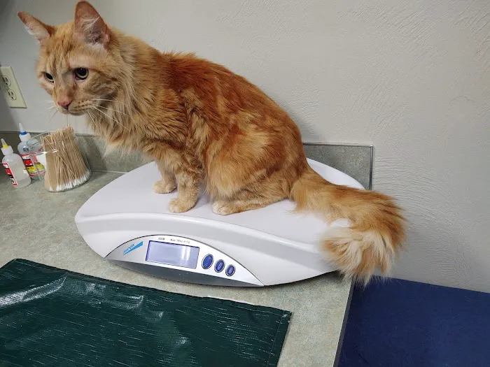 Bush Animal Hospital Picture 7