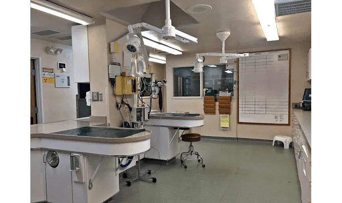 Bush Animal Hospital Picture 10