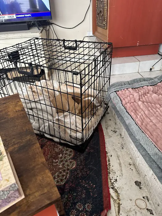 Banfield Pet Hospital Picture 5