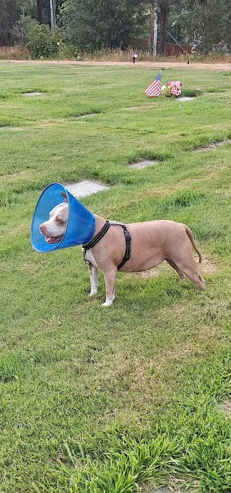 Banfield Pet Hospital Picture 3