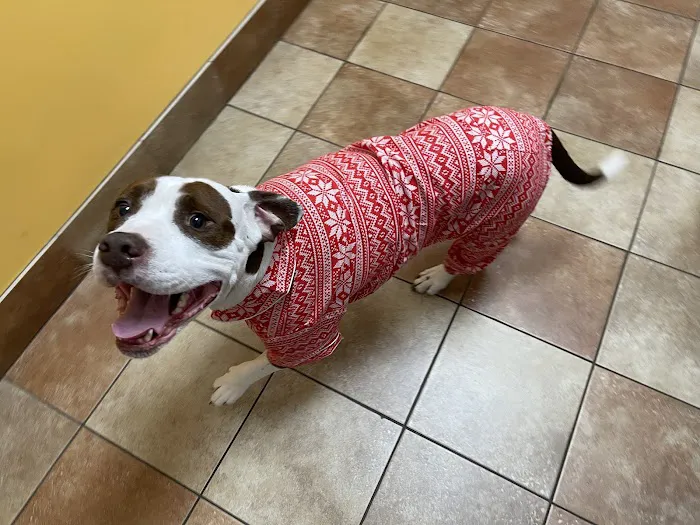 Banfield Pet Hospital Picture 6
