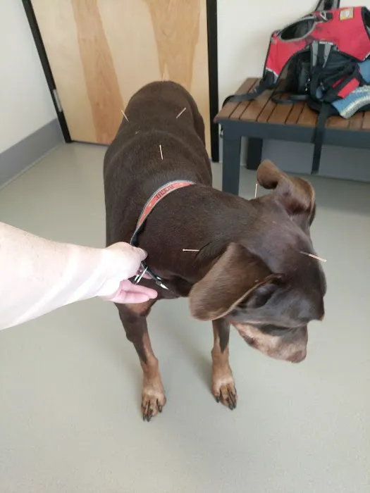 Cascade Animal Clinic Picture 1