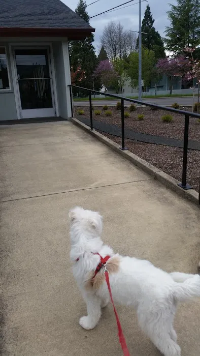 Cascade Animal Clinic Picture 3
