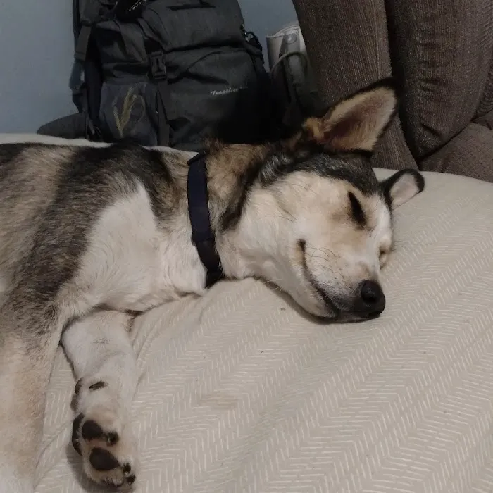 Cascade Animal Clinic Picture 9