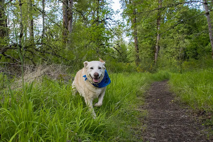 Cascade Animal Clinic Picture 10