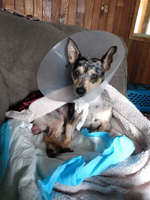 Emergency Veterinary Hospital Picture 3