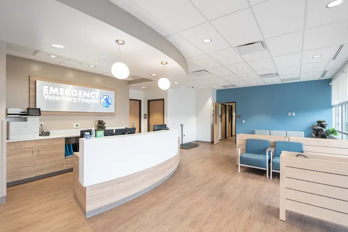 Emergency Veterinary Hospital Picture 2