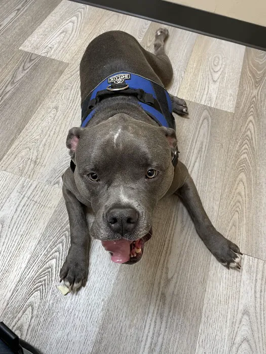 Eugene Animal Hospital PC Picture 1