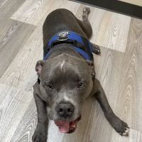 Eugene Animal Hospital PC ico