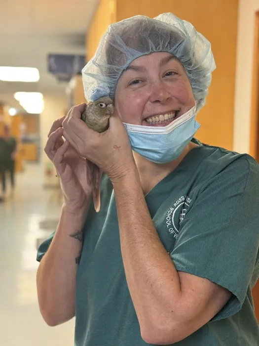Eugene Animal Hospital PC Picture 10