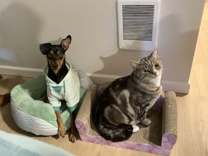 Eugene Animal Hospital PC Picture 8