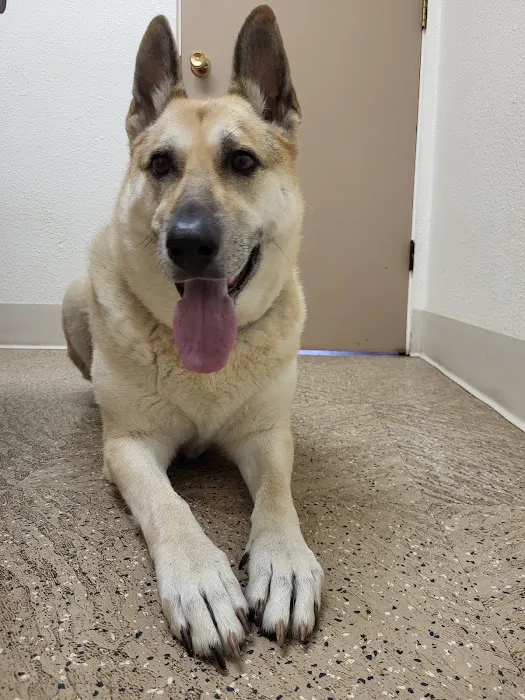Amazon Park Animal Clinic Picture 1