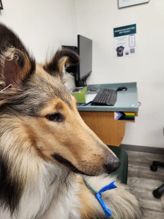 Animal Health Associates Picture 7