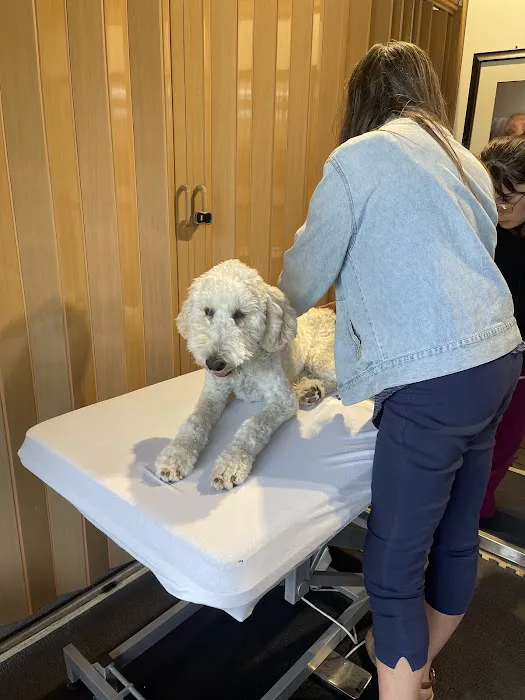 Balance Veterinary Care Picture 2