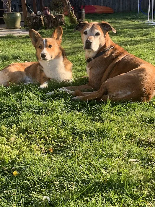 Balance Veterinary Care Picture 9