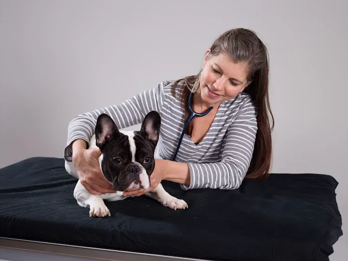 Balance Veterinary Care Picture 10