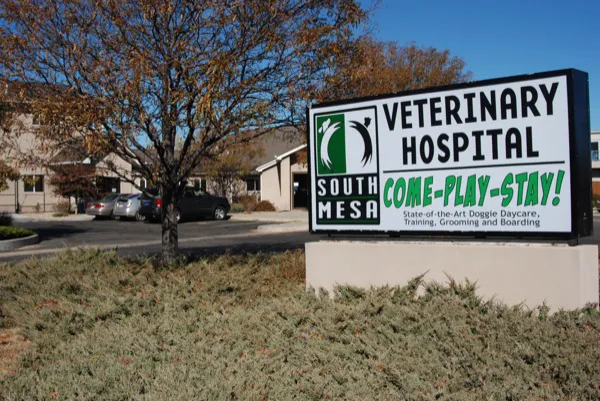 South Mesa Veterinary Hospital Picture 9