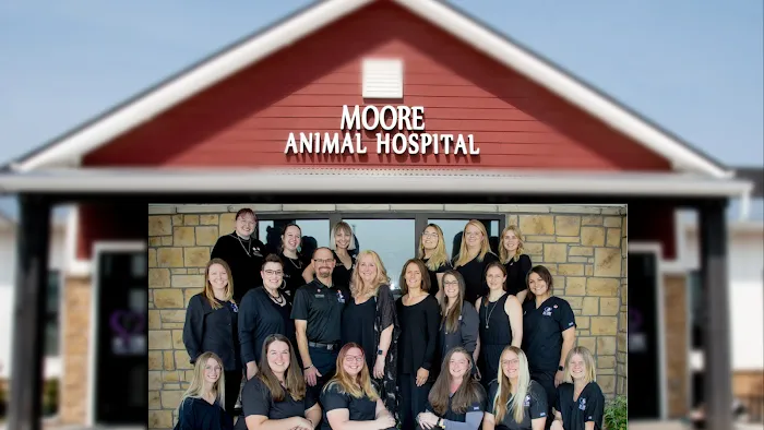Moore Animal Hospital Picture 9