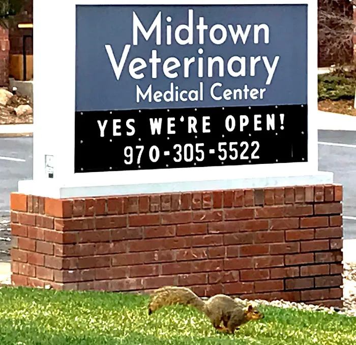 Midtown Veterinary Medical Center Picture 7