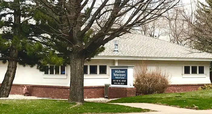 Midtown Veterinary Medical Center Picture 9