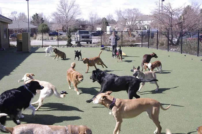 Advanced Animal Care of Colorado Picture 2