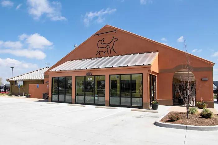 Advanced Animal Care of Colorado Picture 4