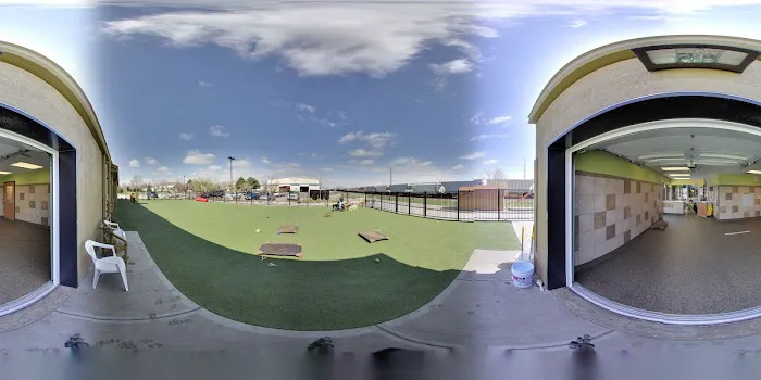 Advanced Animal Care of Colorado Picture 8