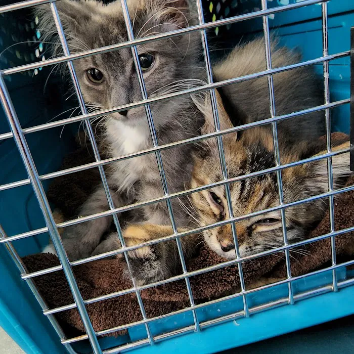 Animal Friends Alliance Picture 3