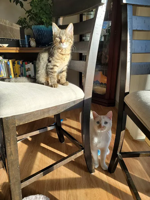 Animal Friends Alliance Picture 10