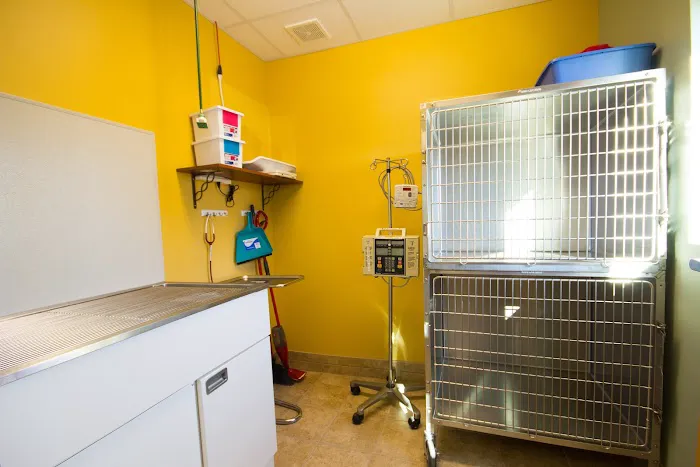 Fort Collins Veterinary Emergency Hospital Picture 1
