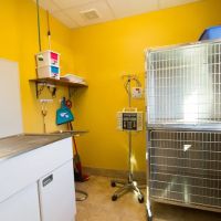 Fort Collins Veterinary Emergency Hospital ico