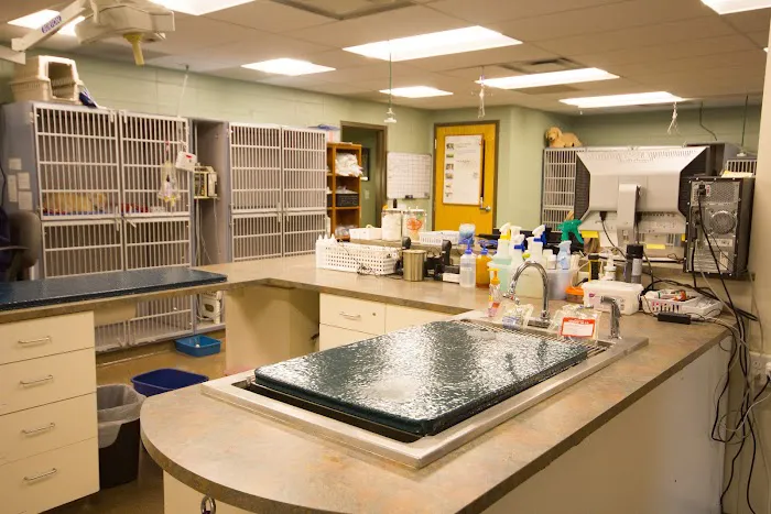 Fort Collins Veterinary Emergency Hospital Picture 7