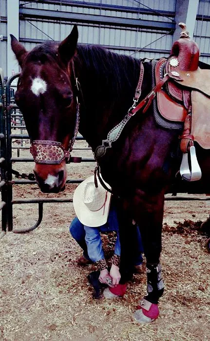 Vetline Equine Picture 7