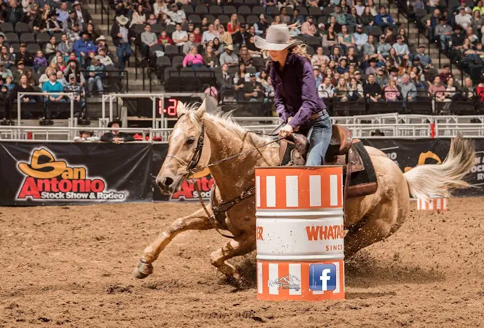 Vetline Equine Picture 10