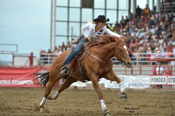 Vetline Equine Picture 9