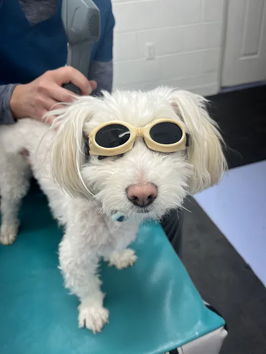 Optimal Animal Health Picture 1